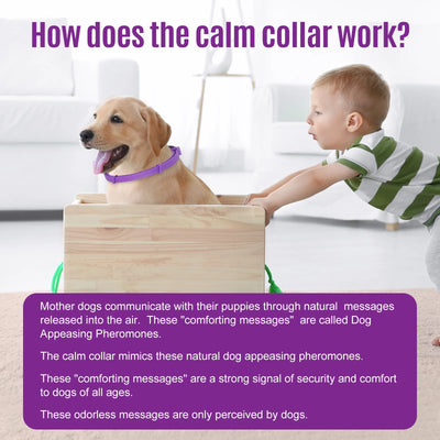 Dog Calming Collars – 4 Pack (Lasts 60 Days) | Adjustable for Small, Medium & Large Dogs